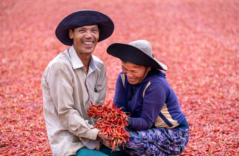 Mystic Harvesting