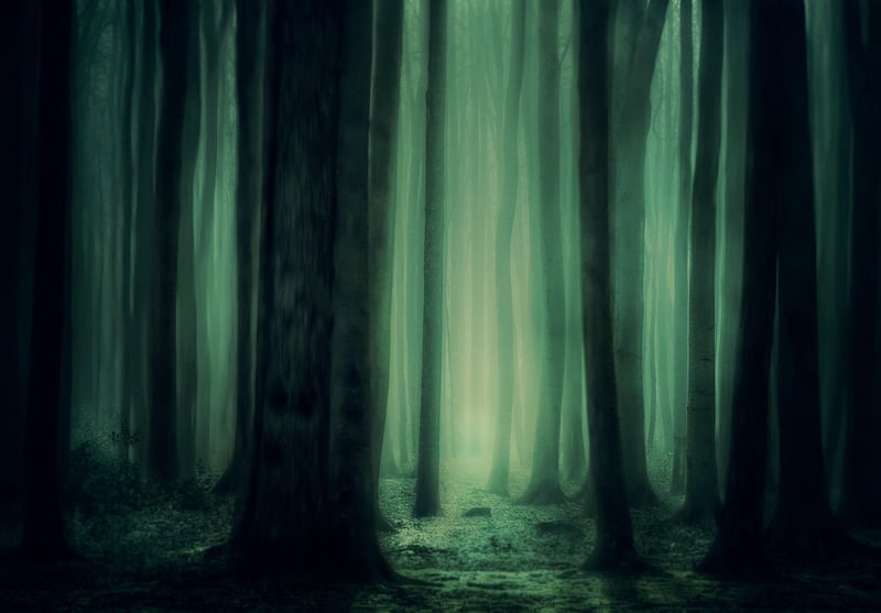 Elven Landscape